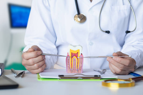 Best Pediatric Emergency Dentist in Silver Lake, NC